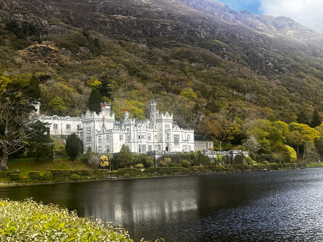 Discover Sláinte Sea Moss: Premier Stockists in Ireland