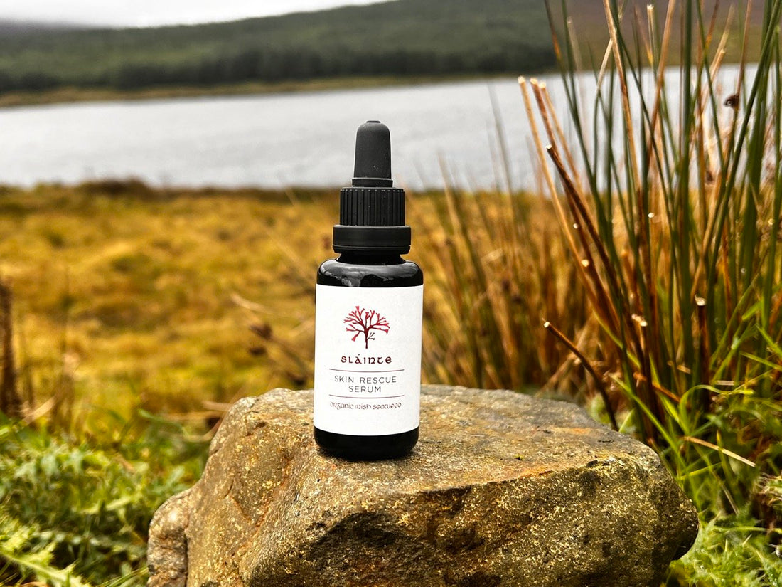 The Magic of Irish Sea Moss: 92 Reasons for Healthier Skin