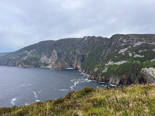 Nature's Touch in Skincare: Embracing the Organic Revolution with Irish Sea Moss